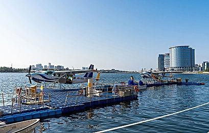 Switch2《艾尔登法环：褪色版》情报公开 双新职业登场 